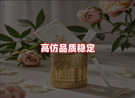专业团队